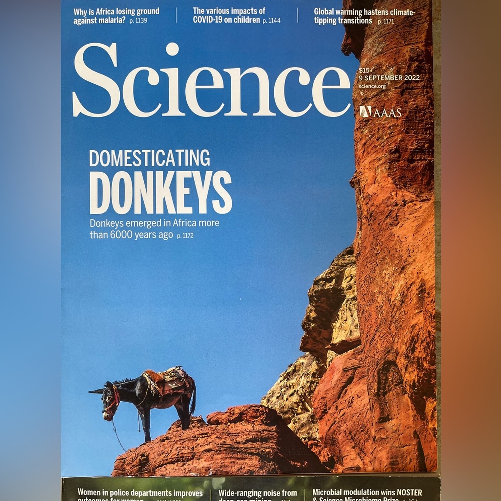 4 Science Magazines. Stunning Set. Feed your mind! Inspire! Enrich! Excite! - Picture 3 of 8